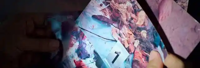 连环车祸,分尸丢江,这部新剧的尺度真是让人大开眼界_陈曼_乔绍廷