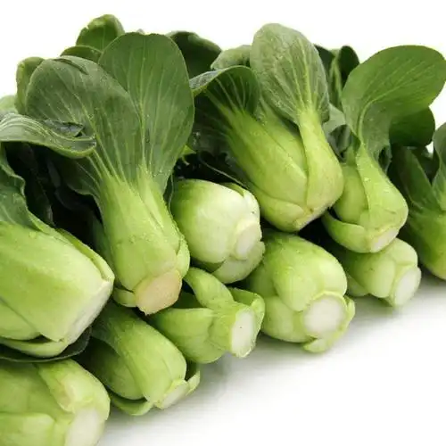 现摘上海青新鲜蔬菜上海崇明青菜无冻伤矮脚菜小青菜净重一斤装份量少