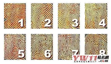 手指指纹簸箕和斗图片