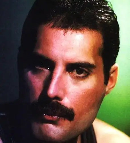 佛莱迪·摩克瑞