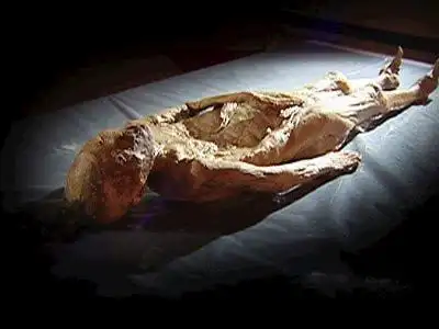 lemmaid="3443720">荆州市博物馆 /a>藏凤凰山168号墓出土西汉男尸