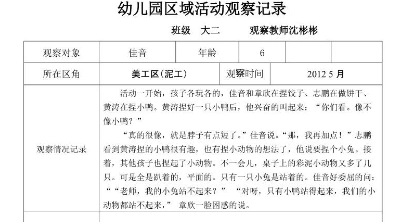 大班区域活动观察记录表