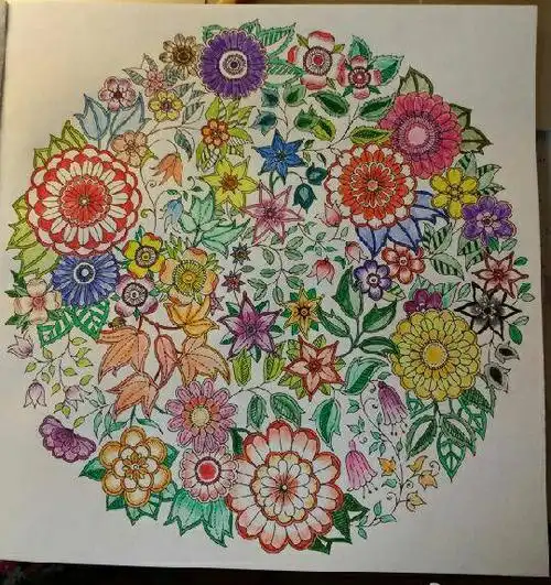 秘密花园 成品图