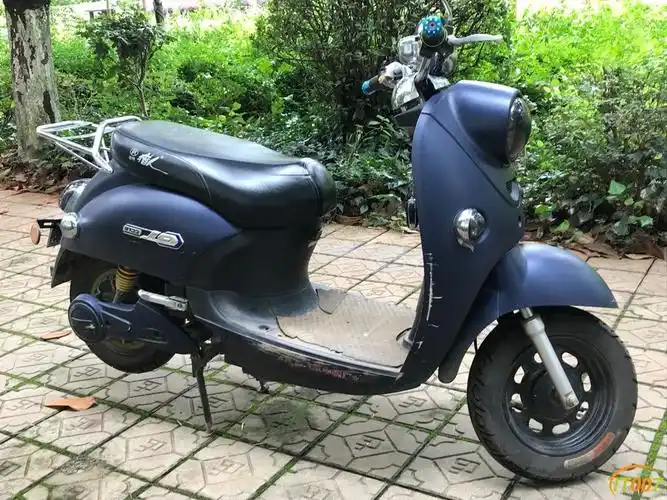 被秒封贴小周先生处理上牌城市猎人电动车一台