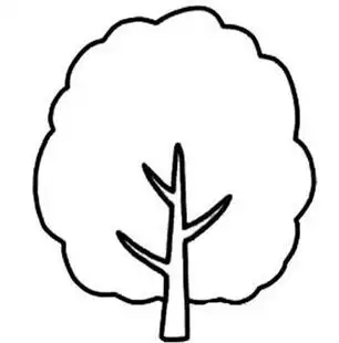 大树简笔画秋天的树一棵挺拔的大树简笔画步骤教程树冠怎么画树冠简笔