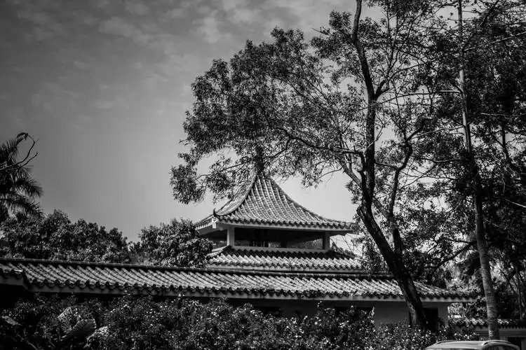 风景,黑白风景壁纸图片