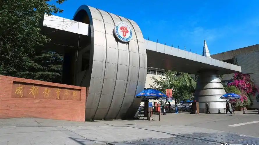 成都体育学院2019年舞蹈学,舞蹈表演专业报考指南丨19校考