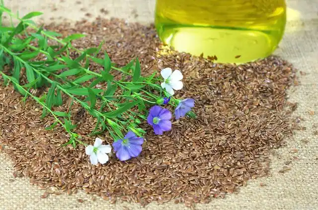 长在高原的深海鱼油,亚麻籽