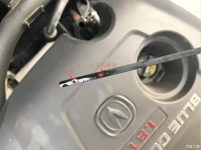 【图】【深圳cs75车友会】492创数-养成好习惯,定期查看机油尺_长安