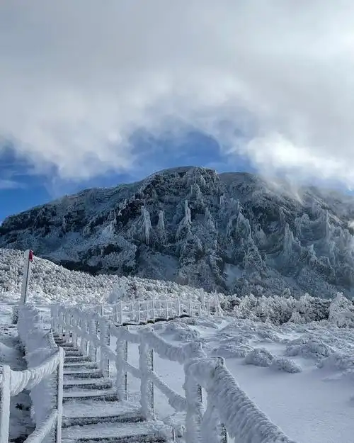 雪后仙境济州岛汉拿山78