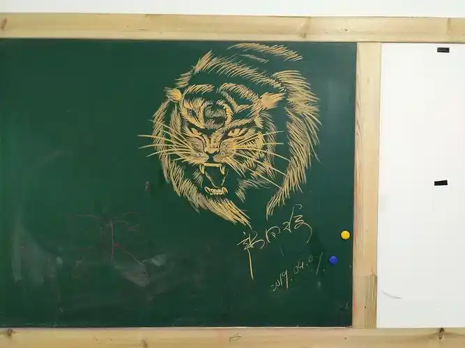 黑板画粉笔画老虎