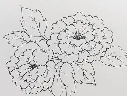 牡丹花画法简笔画_牡丹花画法简笔画 简单_牡丹花画法简笔画颜色 - 抖