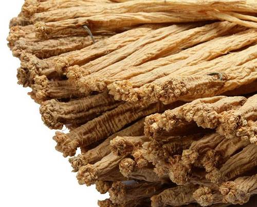 长白山野生党参 以直播实物为准 图片仅供参考