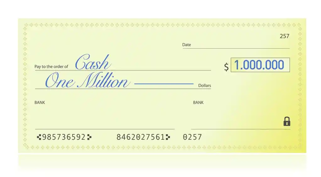 支票支付 100 万美金的特写