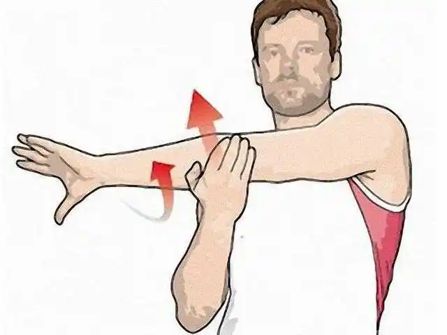 17个最常见的静态拉伸动作