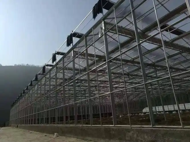 收购出售二手各种温室大棚钢结构