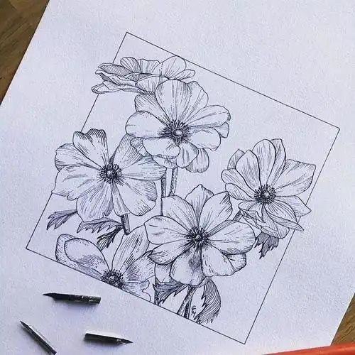 手绘素材视频教程下载!用简单的线条,画出最好看的作品