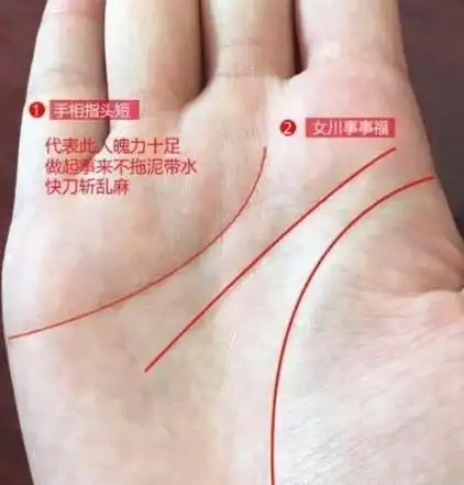 注定28岁至30岁必二婚的女人手相