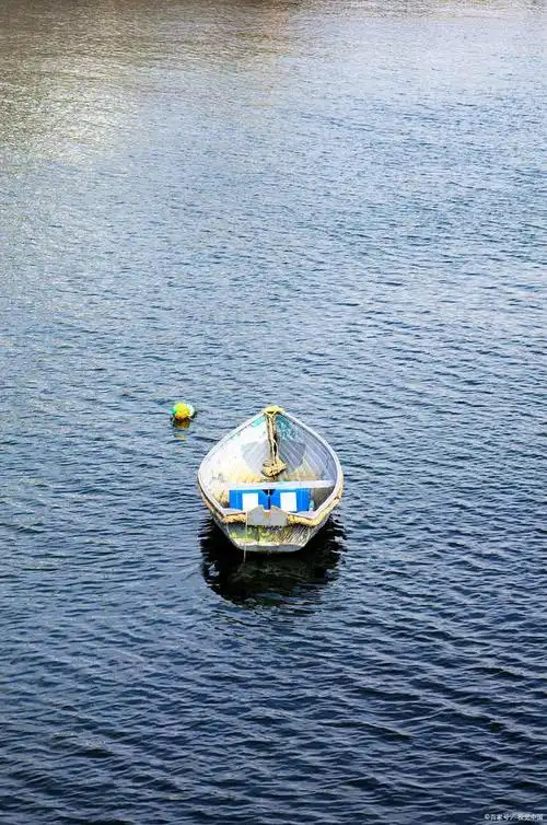 为什么船能在水面上浮起?