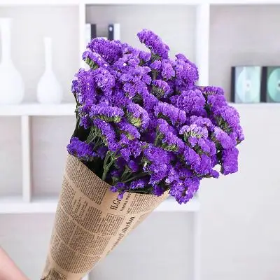 玉儿花坊 勿忘我干花 6.9元包邮