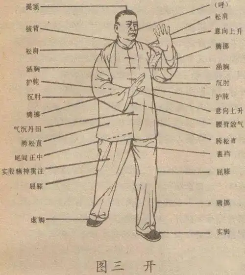 再谈太极拳内功心法_功法