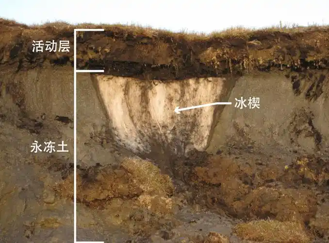 这一切确实与永冻土有关系.