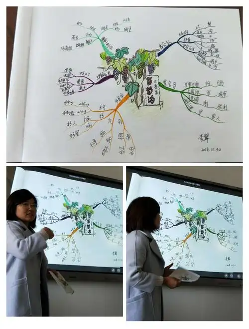 李翠在介绍的思维导图《葡萄沟》