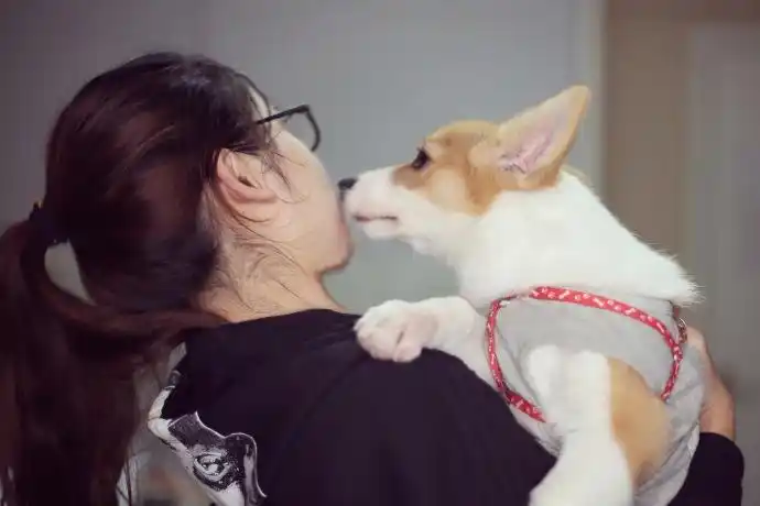 见到美女就要亲亲[挖鼻] 来自胖胖是只小柯基 - 微博