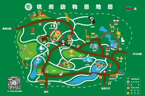 杭州动物园狮山有三个小可爱,不定期出没!快去碰运气看看吧~图2