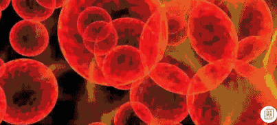 肠道,你体内最大的细菌培养基要知道,体内90%的微生物菌落居住在你的