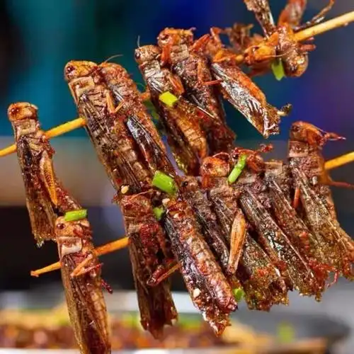 6只每串20串铁板烧烤油炸食材蚂蚱串冷冻半成品家庭小吃野生蝗虫烤串