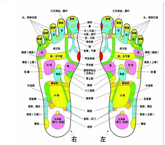 左脚的盲肠,阑尾区域一碰就疼,碰到海绵都很疼 ,专业人士解答!