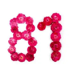 用于设计的排版元素.花数字, 日期, 隔绝, 分离照片