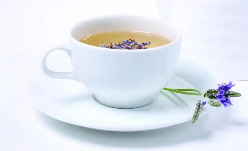 薰衣草花茶图片