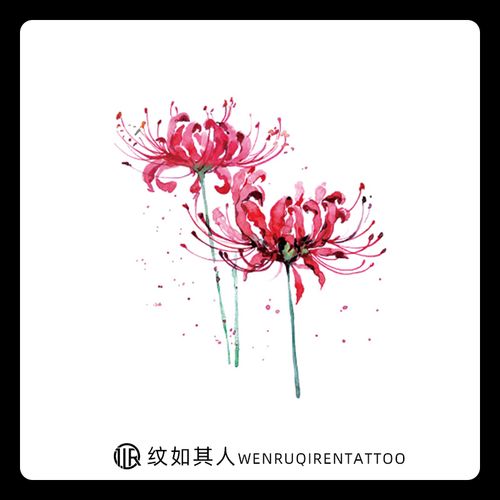 小清新彩色彼岸花纹身贴防水韩国性感手绘红色曼珠沙华花朵纹身贴