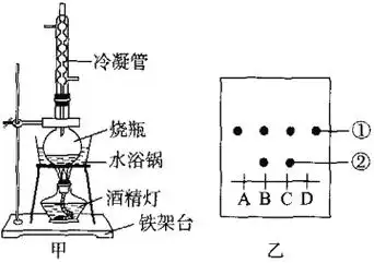 2019-2020年高三教学质量监测生物专题训练(河北省沧州市普通高中)