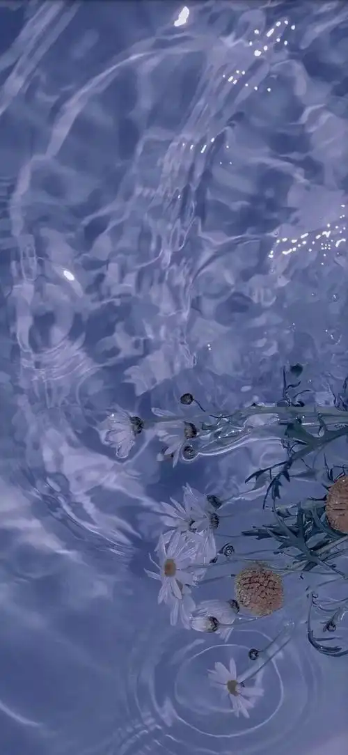 iphone11壁纸 锁屏壁纸 全面屏壁纸 聊天背景 卡通 星空 风景 简约