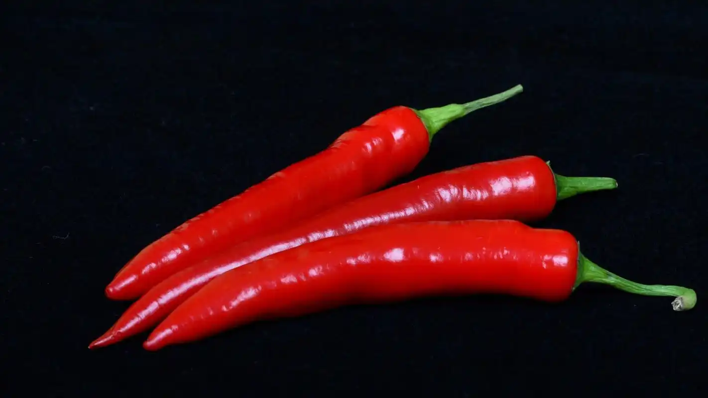 大脑,血液,辣椒,香蕉,黑木耳