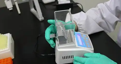 免疫胶体金技术