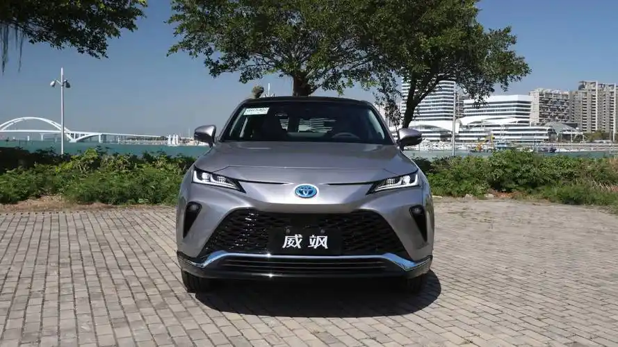 颜值与实力兼具的豪华中型suv——试驾广汽丰田威飒_太平洋号_太平洋