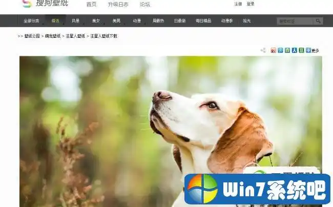 怎样查找图片原图出处及信息 如何查找图片原图出处