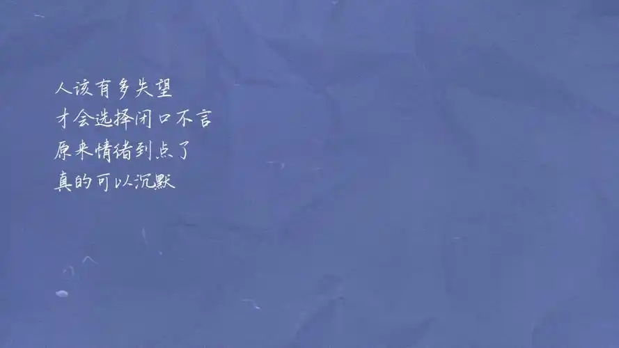 人该有多失望 才会选择闭口不言 原来情绪到点了 真的可以沉默