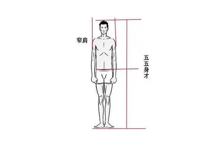 风是从日漫中演变出来的风格,在创作日漫人物中遵循严格的黄金比例