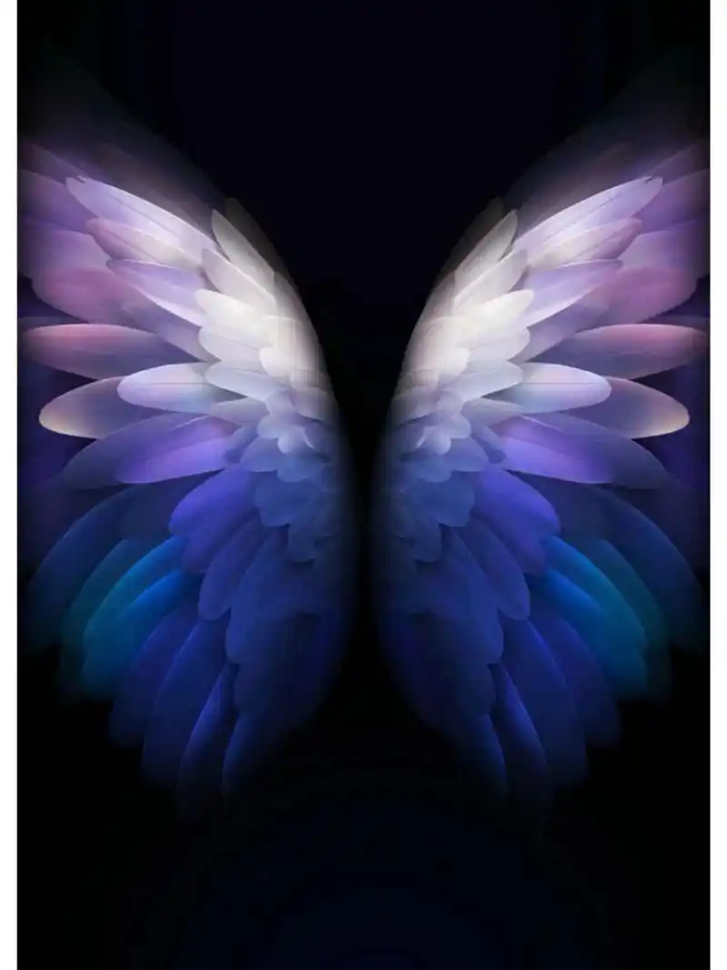 三星w23翅膀动态壁纸 非常清晰4k原画质 三星w23心系天下翅膀动图视频