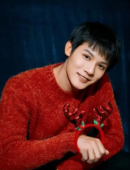 其实这大概与他对自己的定位有关,郑业成的实力,大家是有目共睹的.