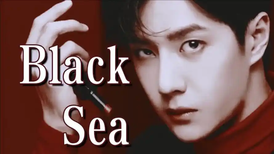【王一博】暗黑系混剪 black sea