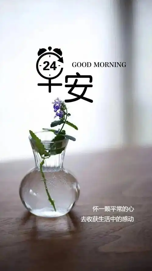 「2021.11.13」早安心语,正能量阳光美句,朋友圈早上好精致语录