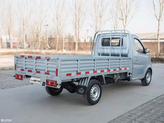 2019款神骐t101.5l 载货车单排 标准型 额载995