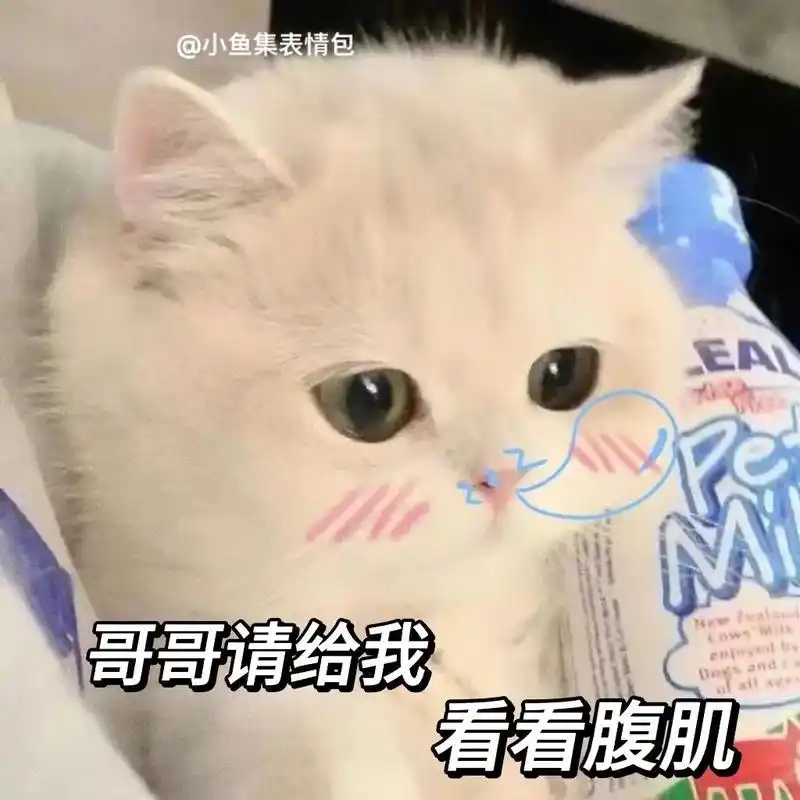 哥哥发腹肌照!#发给对象表情包 #猫咪表情包 #表情包 #会 - 抖音