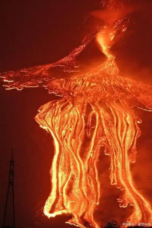 为什么恐龙蛋越来越硬?可能和火山活动有关.